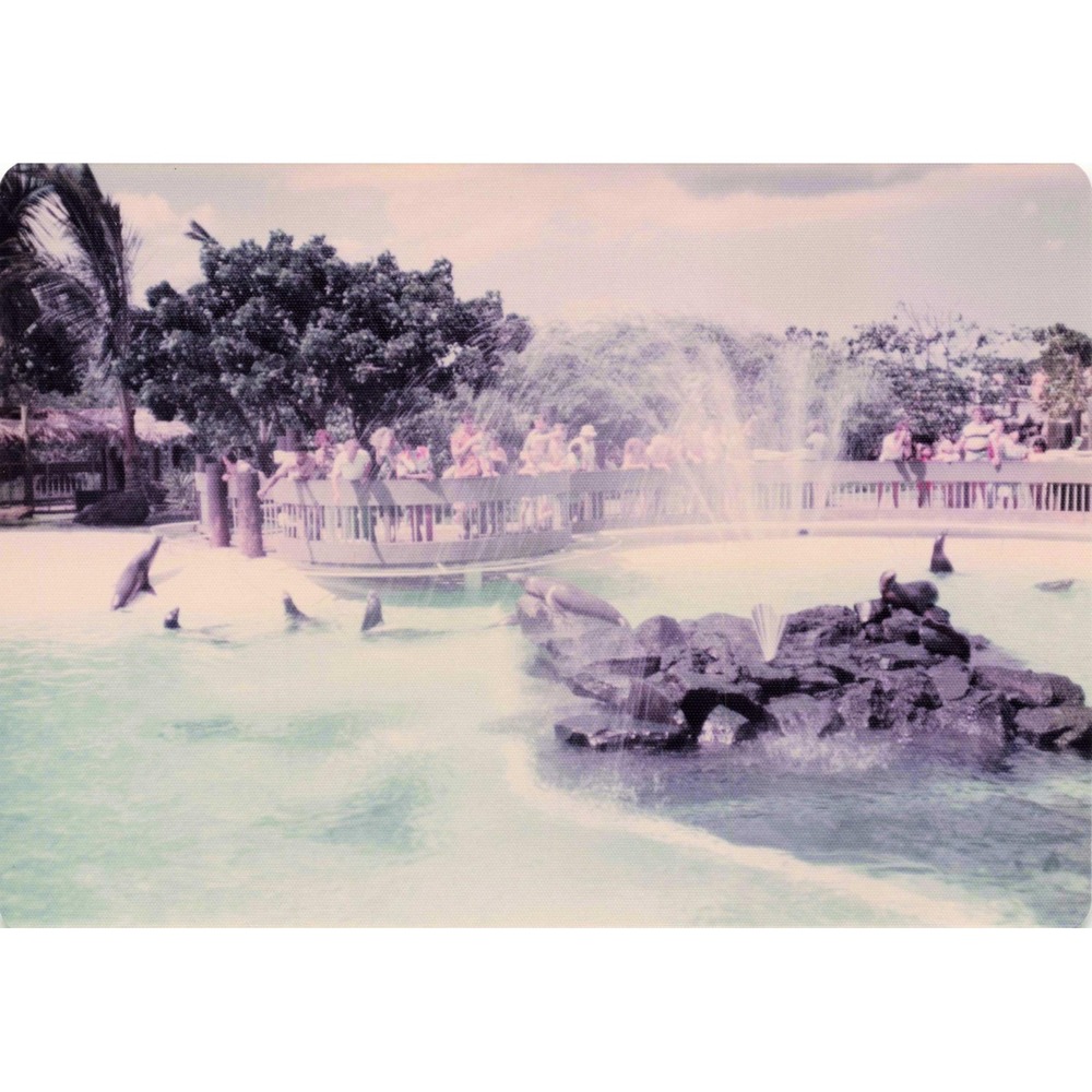 Vintage 1970s Sea Life Park Hawaii Dolphin Show Tall Ship Photo Lot of 17 - Picture 1 of 16